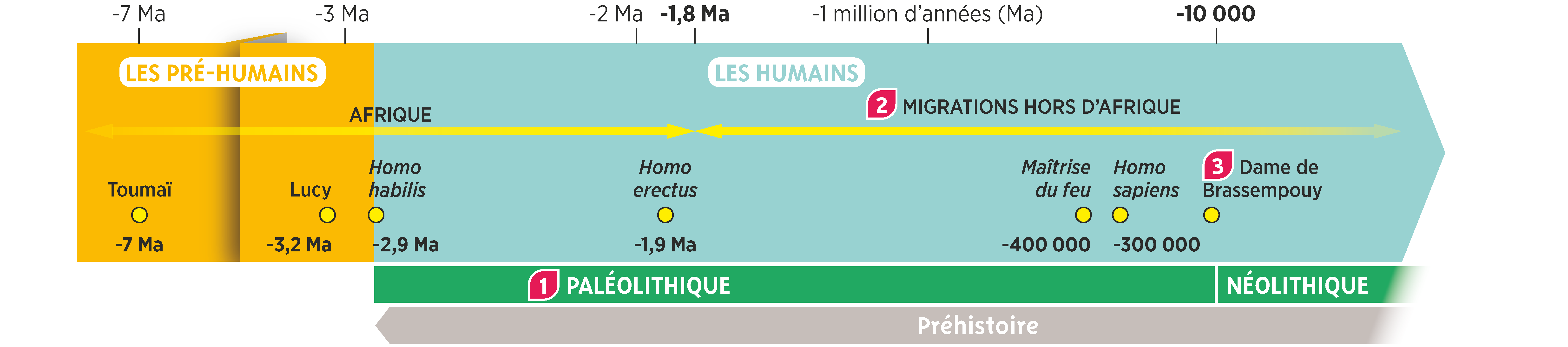 Frise Chronologique - Belin - EdiCarto - agence de cartographie spécialisée - Edition - Infographie data design