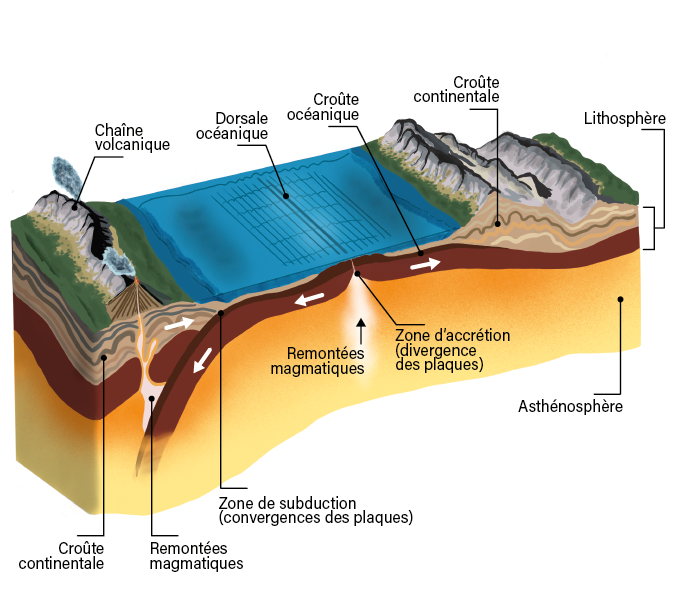 Coupe croûte terrestre - Gallimard - EdiCarto - agence de cartographie spécialisée - Edition - Infographie data design